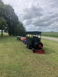 image1201 1756409046 Trackless Train